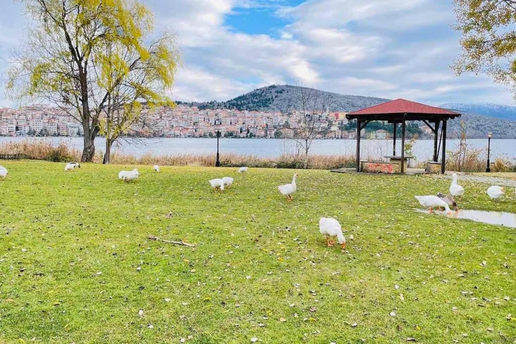 קסטוריה Lida'S Apartment Lake View מראה חיצוני תמונה